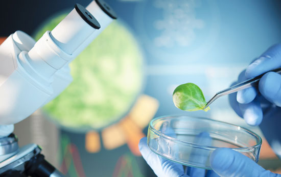 上海做网站公司关于生物网站案例 上海做网站公司关于生物网站案例
